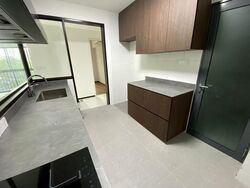 Blk 1 The Pinnacle@Duxton (Bukit Merah), HDB 4 Rooms #511277911